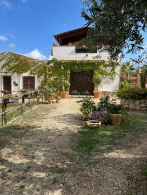 Casa degli Ulivi 21